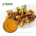 AMULYN Health Care Organic Turmeric Extract